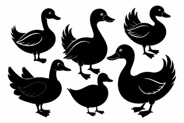 Set of black silhouette duck's vector illustration With on white background
