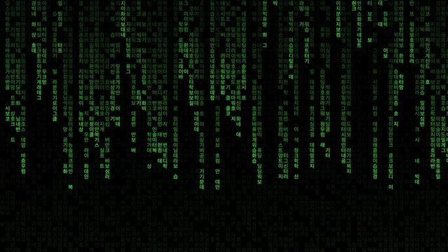 Korean character. Green code on black background. Moving digits on screen. Concept of digital age. Algorithm, data, decryption and encoding, row matrix, future, program. Computer graphic motion.
