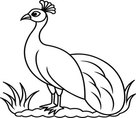 Peacock bird coloring pages.