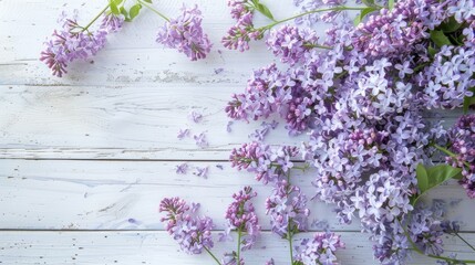 a floral backdrop, showcasing lilac flowers arranged on a white grunge wood background, offering ample copy space and a view from above, perfect for Mother's Day, Birthday, or Easter. - obrazy, fototapety, plakaty