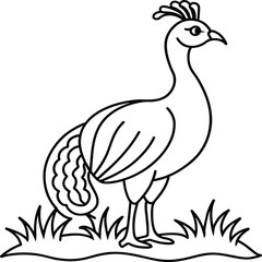 Peacock bird coloring pages.