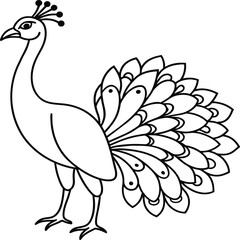 Peacock bird coloring pages.