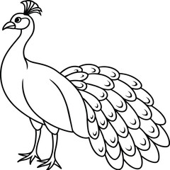 Peacock bird coloring pages.