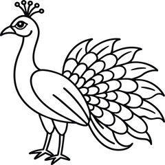 Peacock bird coloring pages.