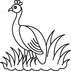 Peacock bird coloring pages.