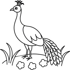 Peacock bird coloring pages.