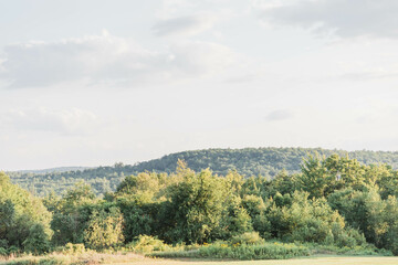 mountain landscape with trees