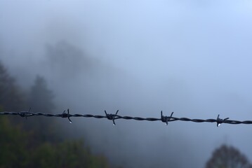 barbed wire against a sky