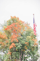 fall foliage and American flag