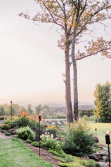 mountain landscape at sunset with flowers
