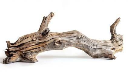 Fototapeta premium weathered driftwood piece isolated on white background natural texture and organic shapes