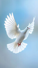 A white dove soars in the Sky, its wings outspread embodying Peace symbols. Generative AI