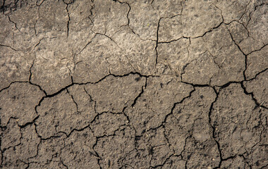 cracked soil background