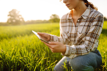 Smart agriculture.  A woman agronomist checks the quality of the crop using a digital tablet  on a...
