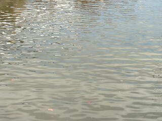 Abstract texture of small ripples on the river background with copy space.