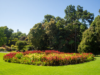Melbourne's Royal Botanic Gardens