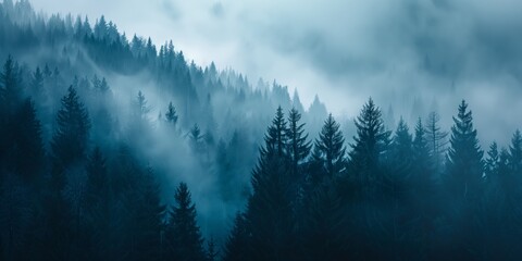 Misty forest with pine trees in monochromatic blue tones. Nature and solitude concept. Design for...