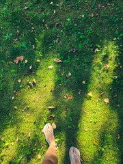 Feet in Comfortable Flip-Flops on Lush Green Grass under Sunlight Filtering Through Trees, Casting...
