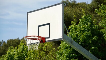 basketball hoop in the park