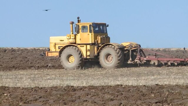 tractor plows the ground