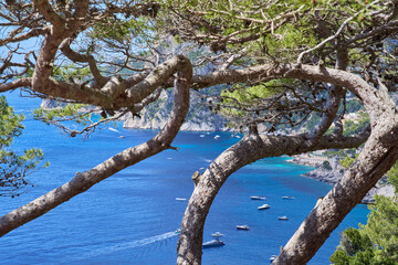 The coastline of the island of Capri from Belvedere Tragara, Campanian Archipelago, Italy