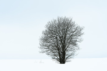 Images from a roundtrip in the cultural landscape of Toten, Norway, starting from Lund in Kolbu by Mollerhagen and back again, a cloudy winter day of March 2024.