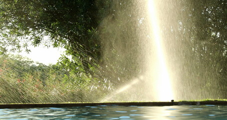 Water sprinkles watering lawn garden irrigation