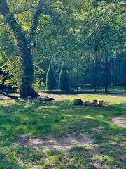 Zoo in Warsaw, wildlife animals © Nataliia