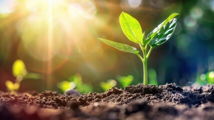 Young green plant growing on fresh soil with sunrays in the background created with Generative AI
