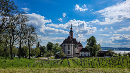View of Birnau Basilica surrounded by green vineyards against the background of blue sky and lake Constance
