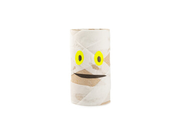 Toilet paper crafts isolated on white background. Kids crafts made with toilet paper roll. DIY....