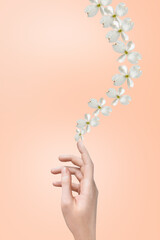 female hand of a Caucasian girl on a flying flowers dogwood on a peach fuzz background. Display for advertising cosmetics. Vertical photo