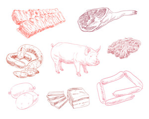 Products provided by pig. Hand drawn farm animals sketch set. Vector art illustration.