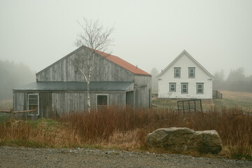 A foggy scene on Beals Island, Maine