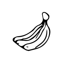 Hand drawn exotic fruit doodles. Cute tropical food sketch, summer fresh organic ingredients vector illustration