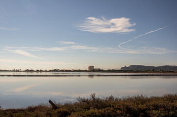 Landscape Molentargius Regional Natural Park in Cagliari City Sardinia