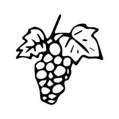 Hand drawn exotic fruit doodles. Cute tropical food sketch, summer fresh organic ingredients vector illustration