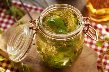 Preparation of herbal tincture from birch branches with very young leaves and catkins in a glass jar