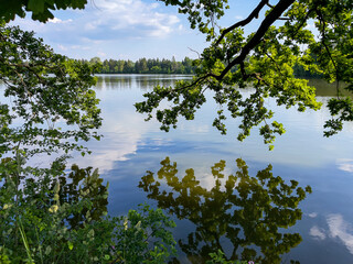 Fototapeta na wymiar Podlesky pond in Uhrineves in Summer, Prague, Czech republic