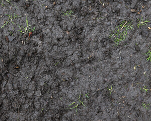 Top view, ground texture. Background of natural soil. Wet soil, unsown soil. Black soil texture. High quality photo