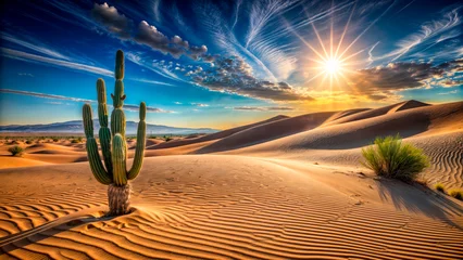 Foto op Plexiglas Mexican landscape with prairies © vvicca