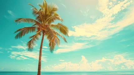 Plexiglas foto achterwand A tropical beach scene with a palm tree set against a backdrop of blue sky and fluffy white clouds, offering a dreamy vacation vibe © Chingiz