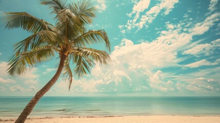 Fototapeta na wymiar A tropical beach scene with a palm tree set against a backdrop of blue sky and fluffy white clouds, offering a dreamy vacation vibe