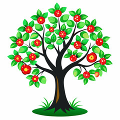 A apple tree, with flowers, full body, white background