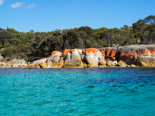 Red lichen covered stones which give name to the Bay of Fires, Tasmania