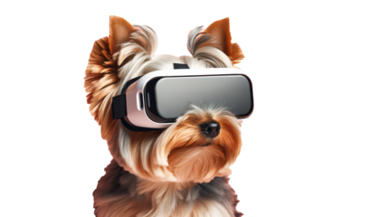 Yorkie with VR headset portrays tech-savvy pets, suitable for humorous tech ads or pet care innovation.