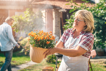 Portrait of a beautiful adult woman holding a flowerpot in the backyard. Senior couple cleaning...