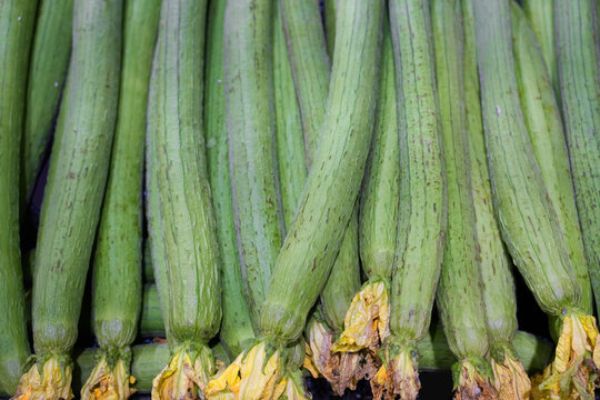 close up on luffa stack together as food background