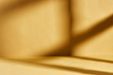 Shadows and light patterns on a grunge wall mockup. Empty room 