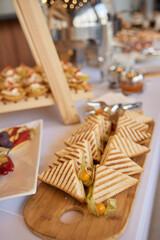 light snacks for the holiday, catering. Various light snacks. Catering plate. Assortment of sandwiches on the buffet table. meat, fish, vegetable canapes.